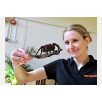 Goliath Bird Eating Tarantula